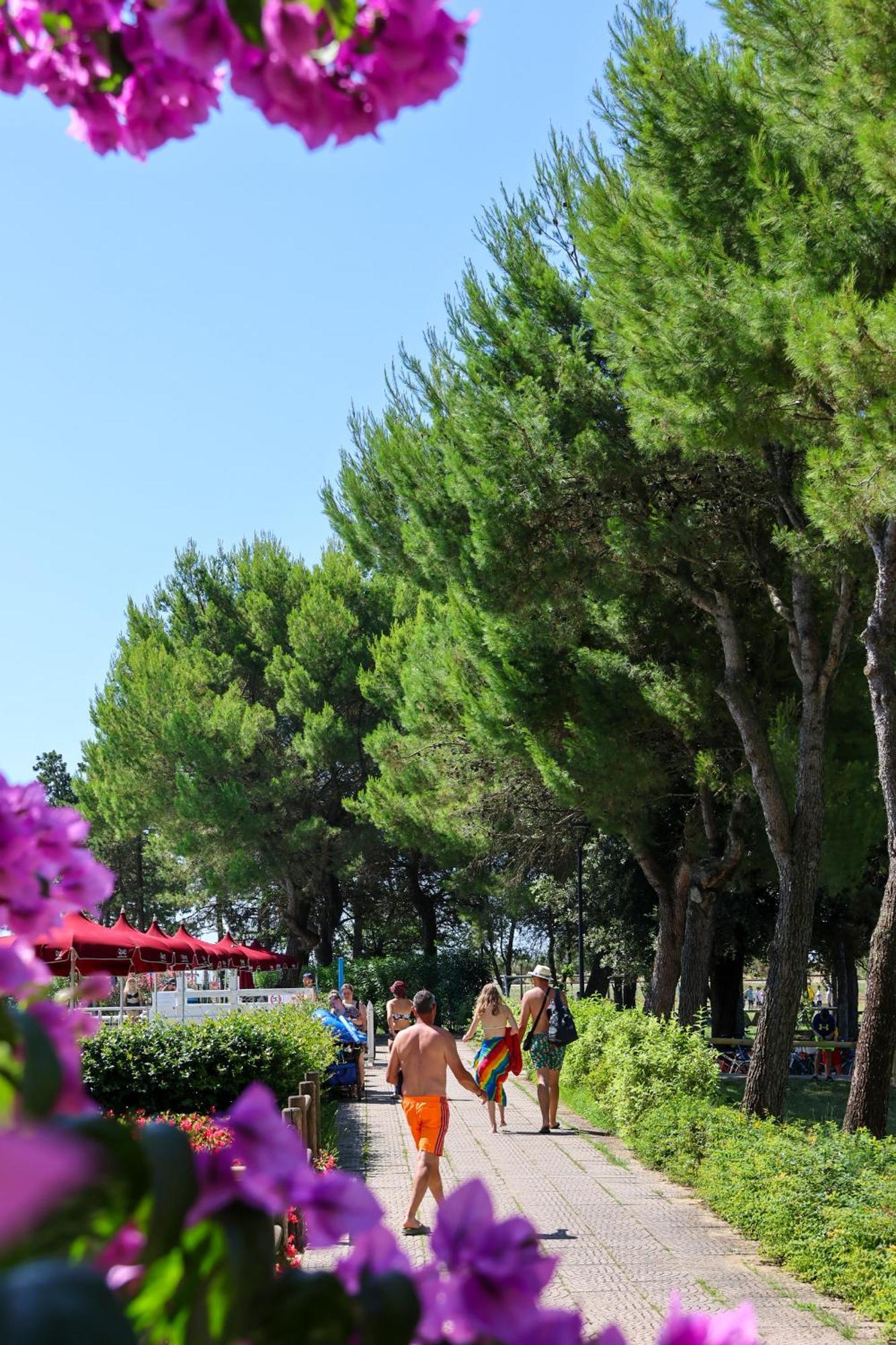Il Tridente Hotel Bibione Zewnętrze zdjęcie